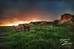 Two horses in a green pasture with rocky cliffs in background. Photo taken by Thomas Zimmerman.