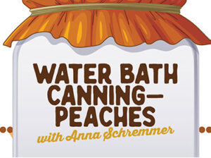 water bath canning peaches - thumbnail