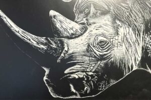 Spirit Animal-scratch art by Rylan Emerson from Norton Community HS
