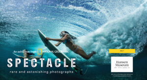 Spectacle-rare and astonishing photographs